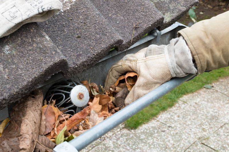 Clean Gutter Systems