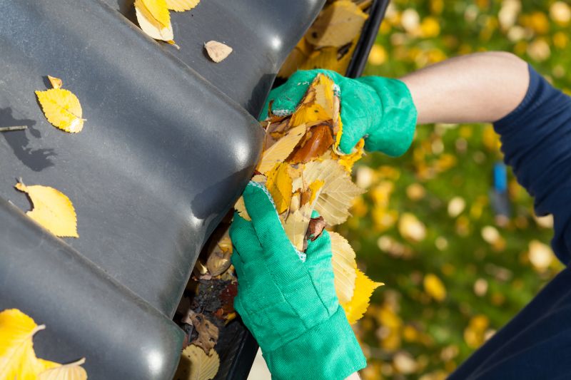 Maintaining Gutter Covers in Late Summer
